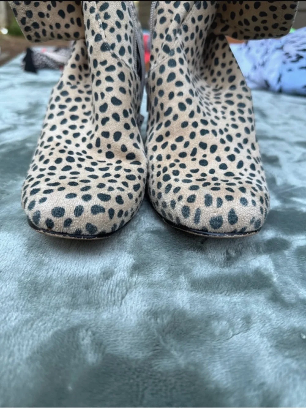 Steve Madden Cheetah Spot Ankle Boots in Cream & Black